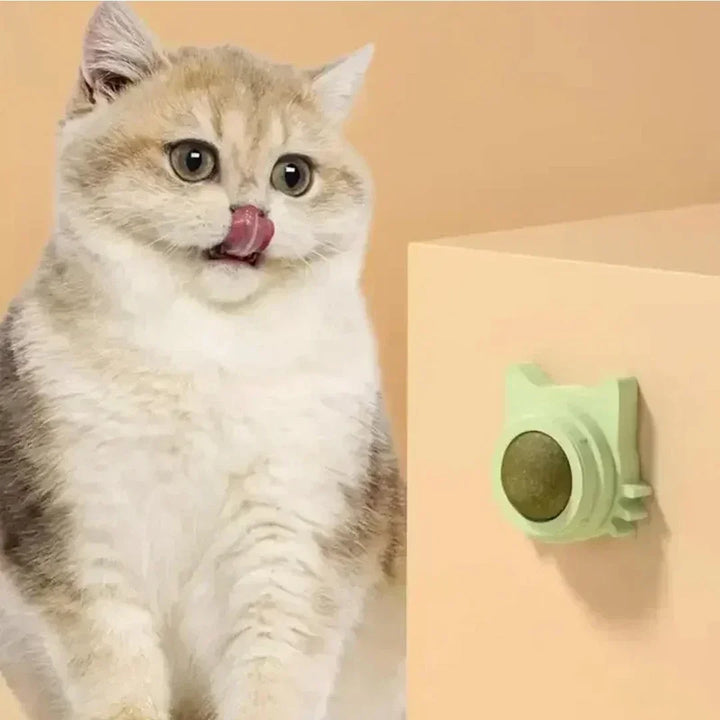 Cat Grass Pet Toy Improve Appetite Spinning Toy Ball Natural Mint Promote Digestion