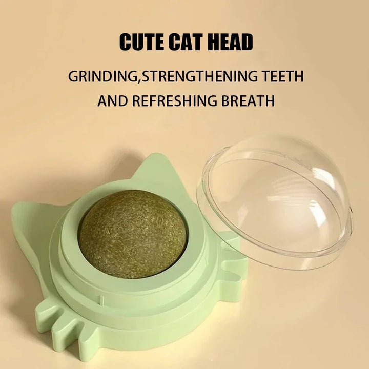 Cat Grass Pet Toy Improve Appetite Spinning Toy Ball Natural Mint Promote Digestion