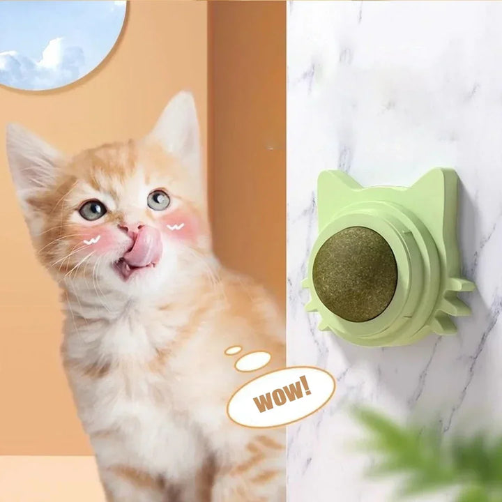 Cat Grass Pet Toy Improve Appetite Spinning Toy Ball Natural Mint Promote Digestion